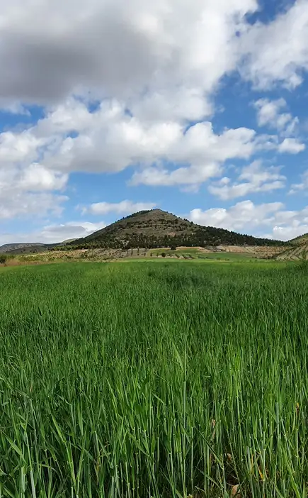 Mooi landschap in Almería